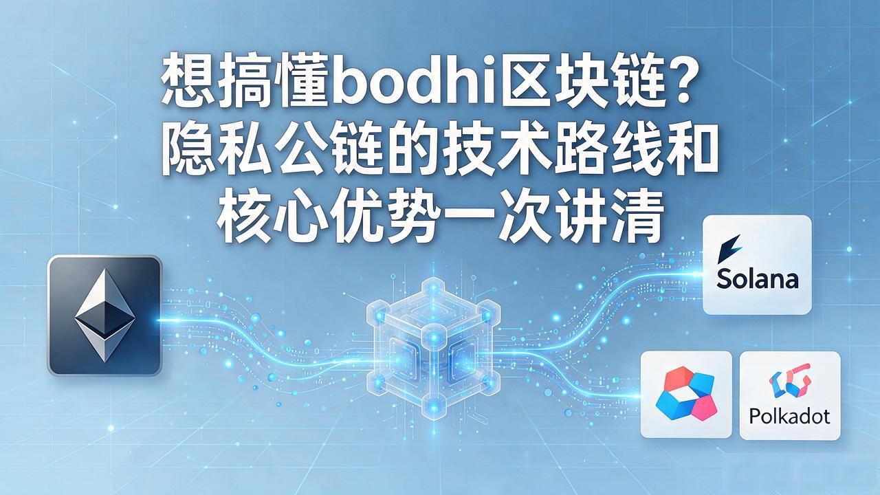bodhi区块链_零知识证明架构与合规审计优势_Bodhi区块链隐私公链技术解析
